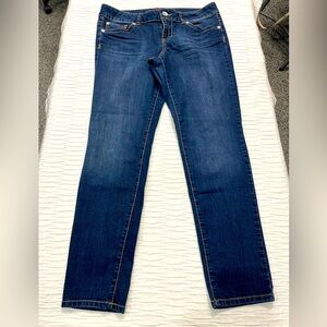 Torrid jeans women’s 18R plus size stretch straight skinny plus size